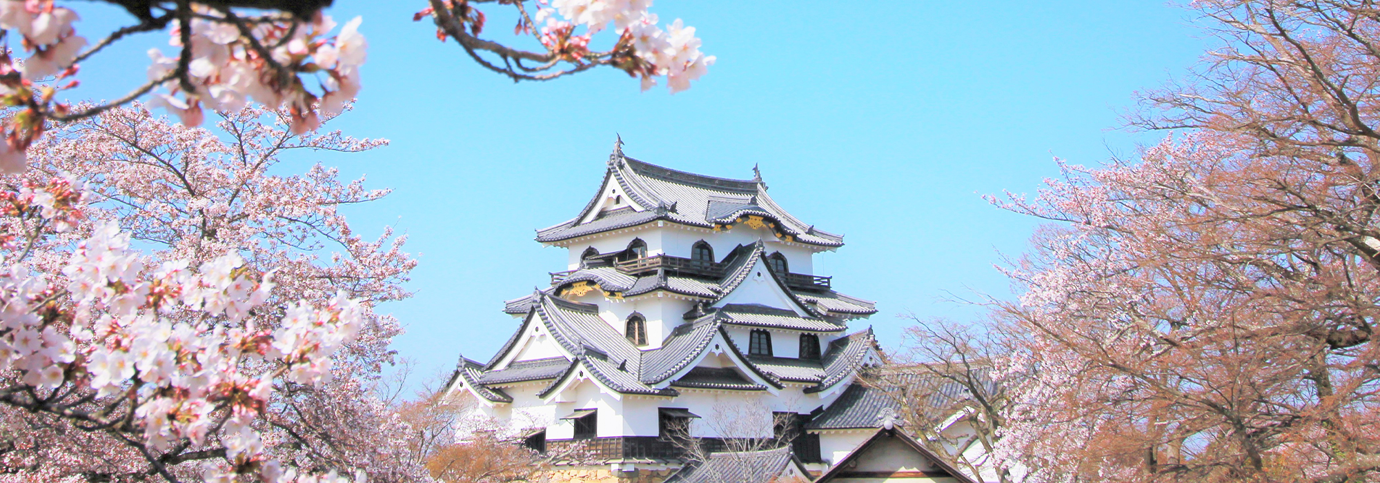 彦根市