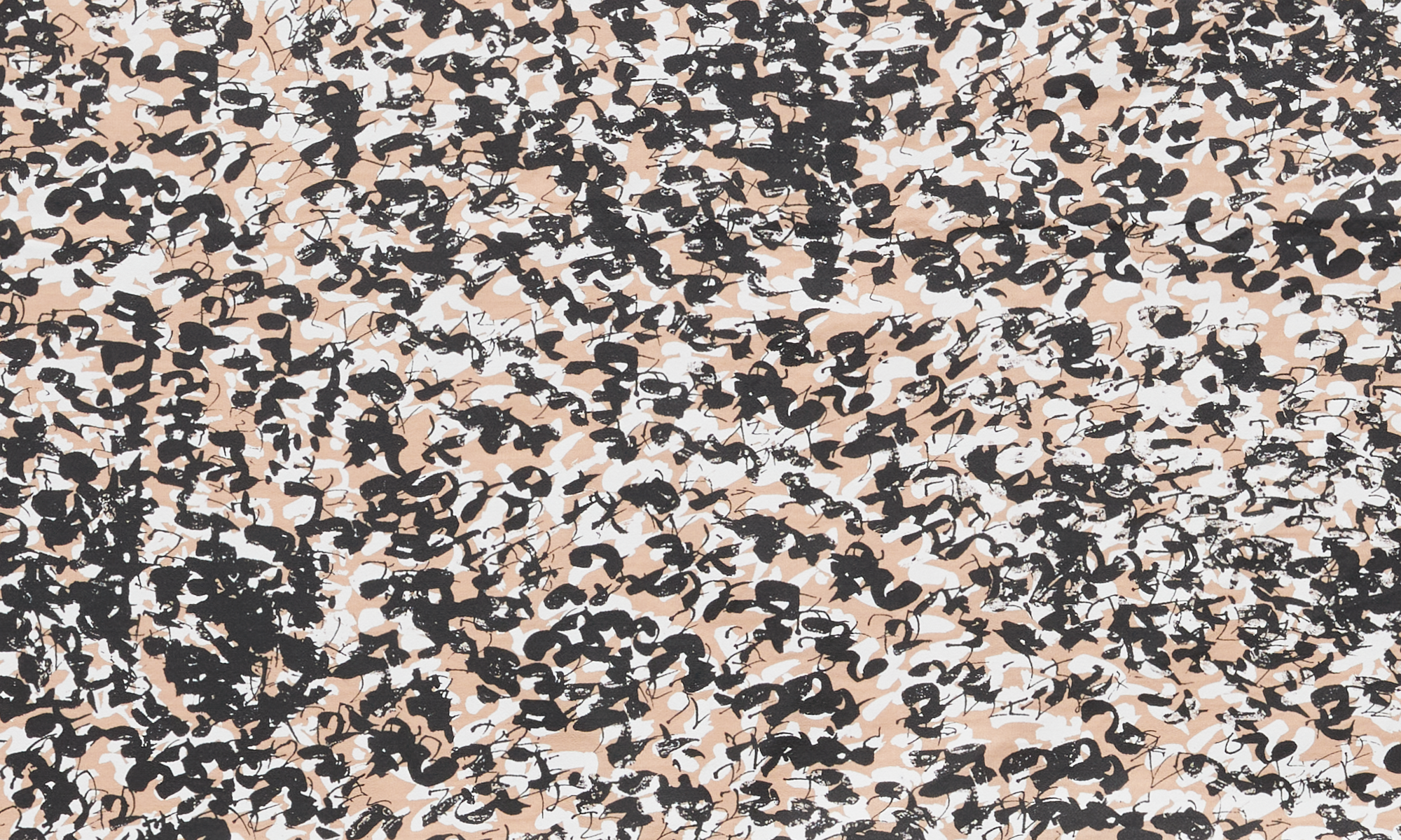 Limited Edition 2026