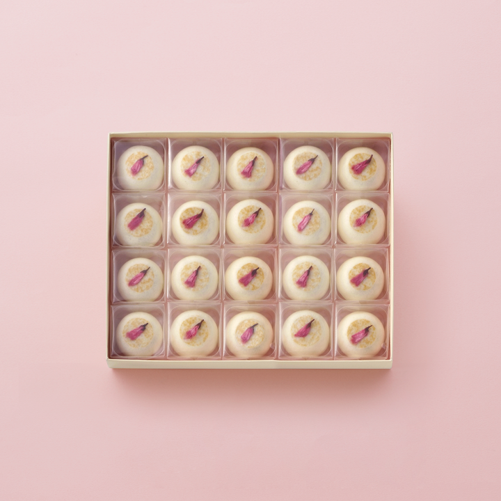 たねや饅頭 さくら　20個入