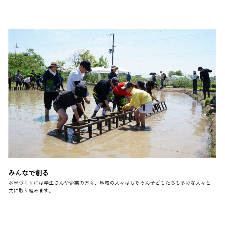 ラ コリーナ米 精米　2kg