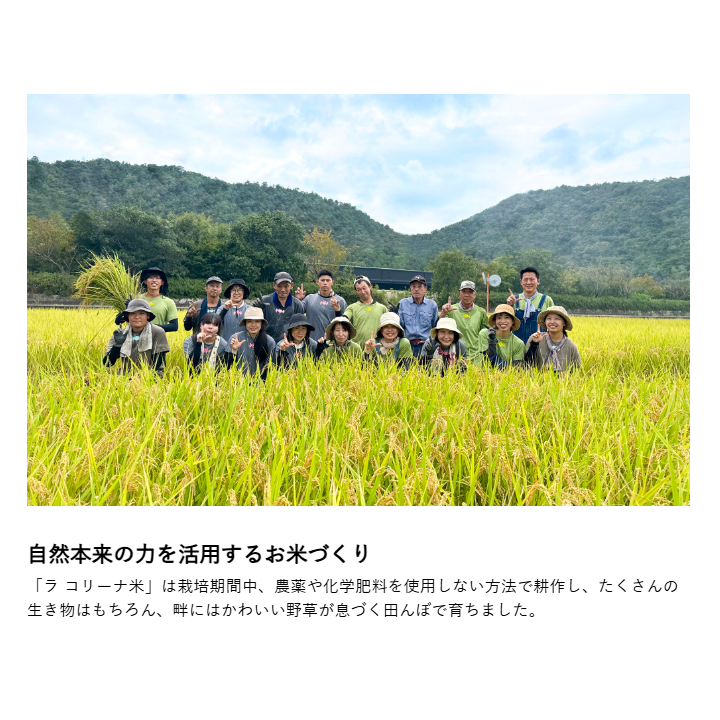ラ コリーナ米 精米　2kg