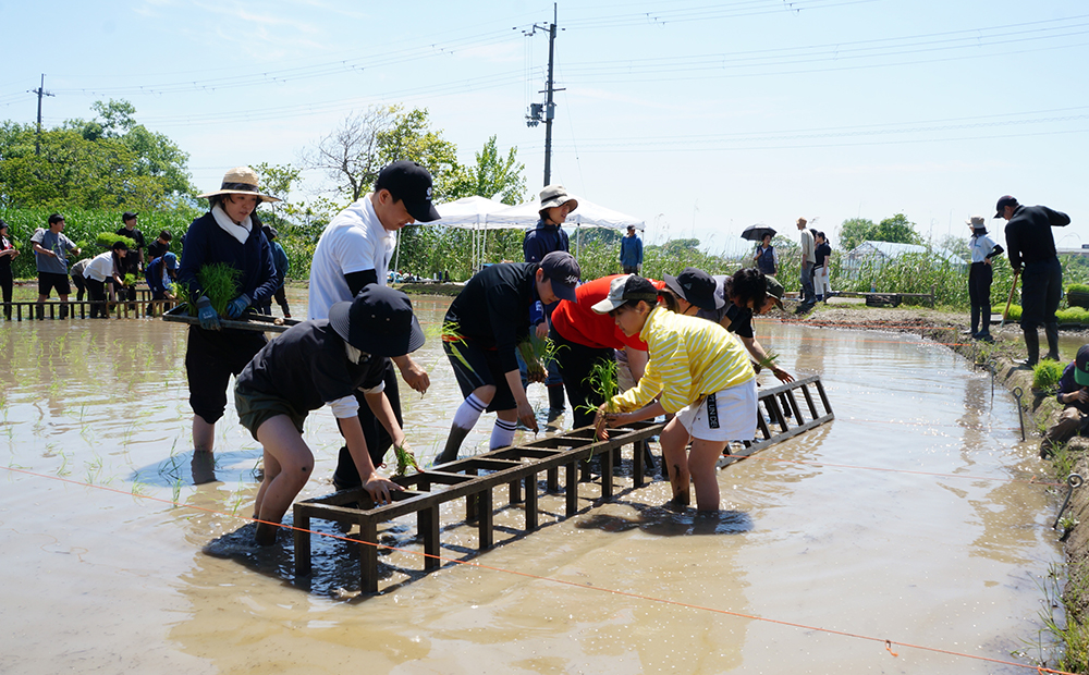 たねやのあんこ