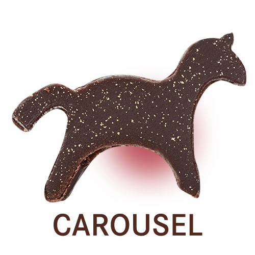 CAROUSEL