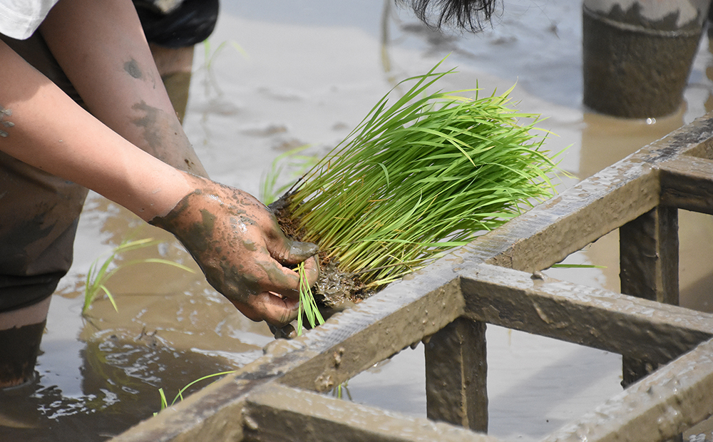 たねやのあんこ