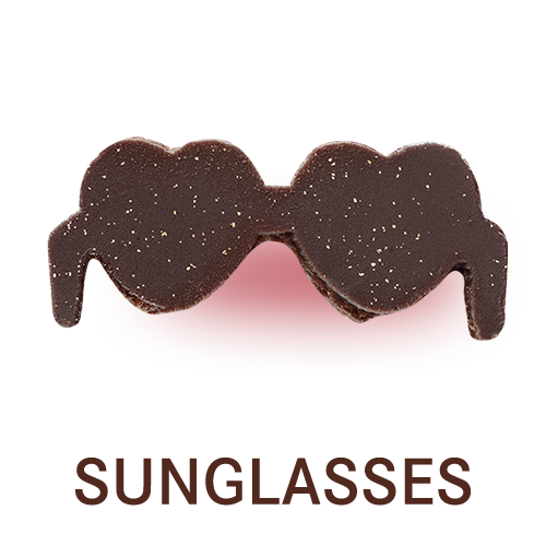 SUNGLASSES